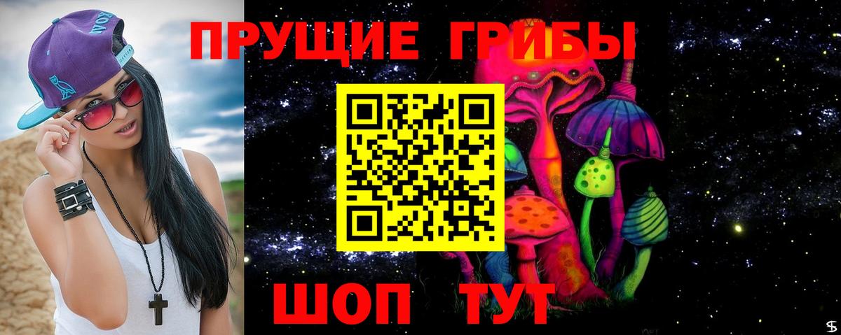 Галлюциногенные грибы Psilocybine cubensis  Галлюциногенные грибы Psilocybe  Железногорск  где найти наркотики  Вход с VPN 
